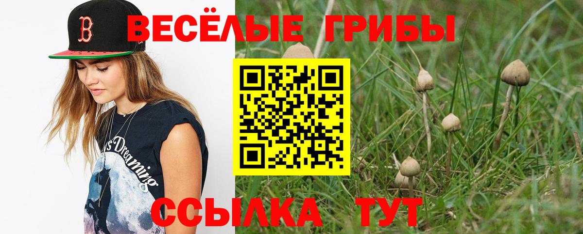 Канаш  Псилоцибиновые грибы GOLDEN TEACHER  Вход с VPN 