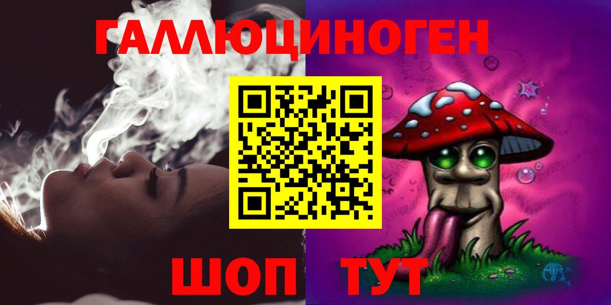 Псилоцибиновые грибы Psilocybe Канаш